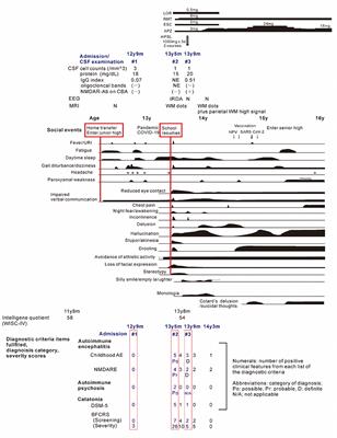 Case report: Evolution of catatonic mutism and psychotic symptoms in an adolescent with Down syndrome: transition from Down syndrome disintegrative disorder to anti-N-methyl-D-aspartate receptor encephalitis